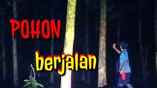 HANTU POHON BERJALAN