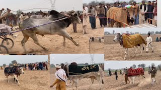 New Bell Race Station Khanewal 22 January Jalsa MALIK Ustad Kaswar Walla ￼