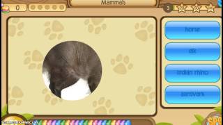 SPOT ON!!! (New Game) START OVER!