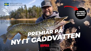 Rapala - Premiär på nytt Gäddvatten!