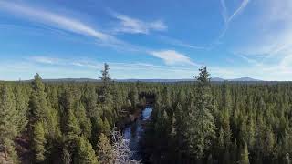 Oregon Timber Investment & Recreational Land for sale for $227,750,000: High Cascade Ranch