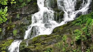 Beautiful Sounds of a Forest Waterfall 3 hours