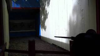 Eli - Crossbow