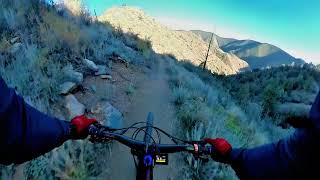 Mayhem Gultch Centennial Cone