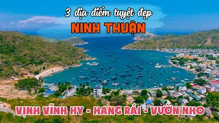 Discover 3 beautiful coastal locations in Ninh Thuan: VINH HY BAY, HANG RAI, THAI AN GRAPE GARDEN