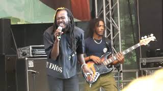 Samory I - Love And Mercy 2024 Reggae Jam, Bersenbrück, GER