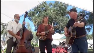 Dim Lights Barberville