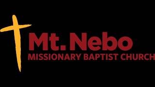 Sermon : "Staying Encouraged In Discouraging Times", Pastor Theodore Bryson