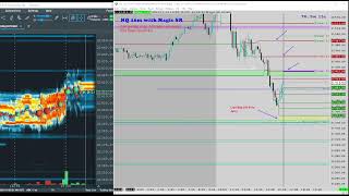 Trade Dojo Live Stream