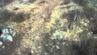 Maanit_29-10-2010 - 12.MOV