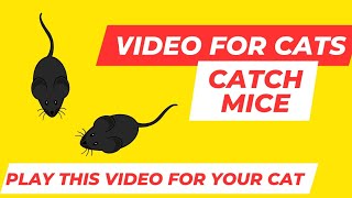 Cat Game: Merry Mice - Interactive Cat Video with Squeaking Mice. Mouse Sounds