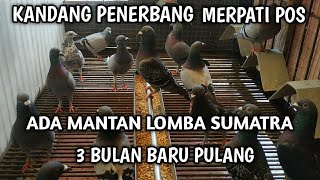 CEK ATLIT LOMBA SUMBAWA-MERPATI POS