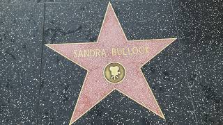 The stars of the Hollywood Walk of Fame