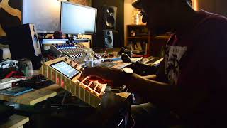 ABF LIVE (unreleased) Mitochondrial Frequencies