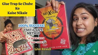 Mouse Trap Kaise Use Kare 🐀  How To Use Glue Trap For Rats || Chuha Pakadne Ka Sabse Asan Tarika