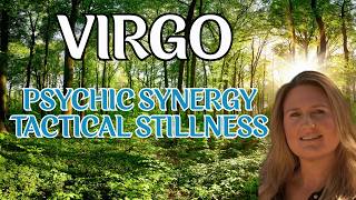 VIRGO♍️ THE SILENT REVOLUTION: HARNESSING INTERNAL STILLNESS FOR MASSIVE EXTERNAL TRANSFORMATION!