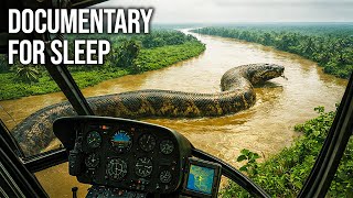 What If Titanoboa Never Truly Went Extinct | Documentary For Sleep