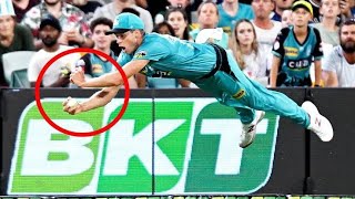 Unbelievable fielding in Cricket History!! 😲😲