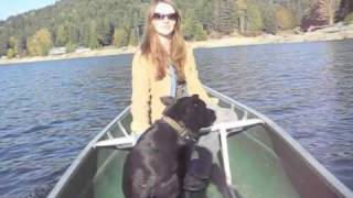 Wilderness Off Grid Cabin - October Update Day 1