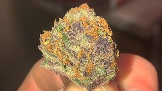 (Flower) Forbidden Fruit-Strain Review
