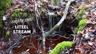 Serenity in Nature: 4K Forest Stream Jungle Waterfall | Relaxing Nature Video with Soothing Audio