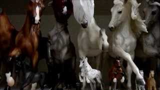 Live Showing Etiquette