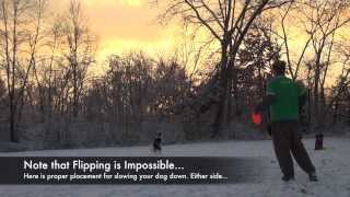 Oppositional Feeding for a Disc Dog Distance Flip