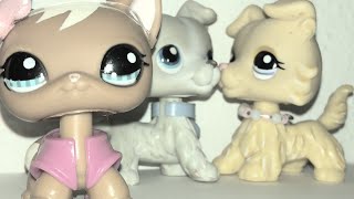 Lps Training Wheels mv (vent)