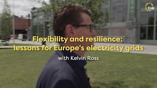 Flexibility and resilience: lessons from the Iberia blackout for Europe's electricity grids