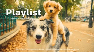 🎧playlist /🍂Hey friend, let’s listen together — warmth grows when it’s shared✨Before Winter Playlist