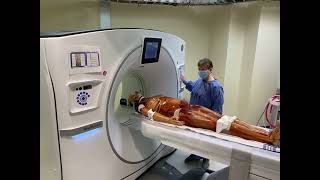 Adult Full Body with Muscles Clinical Application