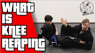 What is Knee Reaping? - Drew Weatherhead Brazilian Jiu Jitsu
