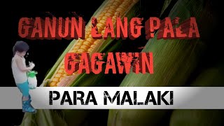 Planting sweet corn