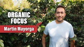 ORGANIC FOCUS 👩🏽‍🌾☕