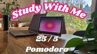 Study With Me Loop for 2 Hours Study Session + LOFI Music - 25 / 5 Pomodoro *Timer On Screen*