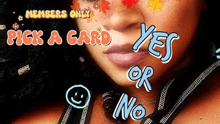 🌸MEMBERS ONLY🌸 Yes or No Pick a Card Reading