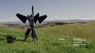 "Pulsar Software-defined Electromagnetic Warfare Systems #AI