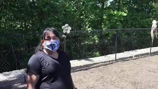 Bicentennial: Gardening with Spring