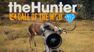 💎  White tailed deer finally \theHunter: Call of the Wild