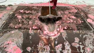 Extreme Dirty Shaggy Carpet Cleaning After Flood | Deep Cleaning Transformation
