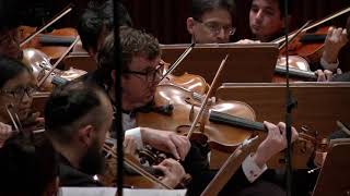 P. Tchaikovsky: Nutcracker Danse des Mirlitons, Dariusz Mikulski & Thailand Philharmonic Orchestra
