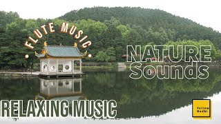 Relaxing Flute Music, Nature Sounds, Sleep Music, Calming Music, Flute Music, Relax,  Stress Relief