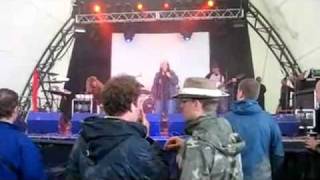 Hedge Monkey at Glastonbury 2007