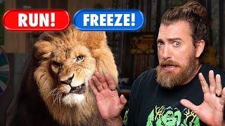 Could We Survive Dangerous Animal Encounters?