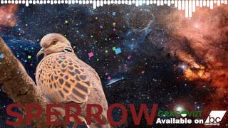 [Glitch Hop] Gracovizt - Sperrow (Original Mix) | [FREE TRACK]