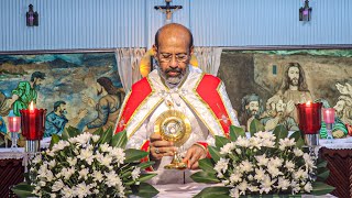ST. ALPHONSA NOVENA: DAY-9