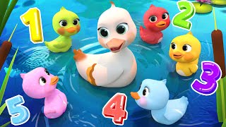 5 Little Ducks | Lalafun Nursery Rhymes