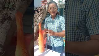 paper 📜 bottle 🍾 craft work by class 7 students,kdrfs
