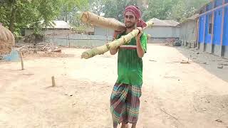 বাড়িতে সজিনা গাছ লাগালাম। #সজিনা #গাছ