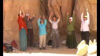 Egypt  Sinai desert safari with camels